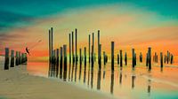 Swinging in Palendorp by Hans van der Grient thumbnail