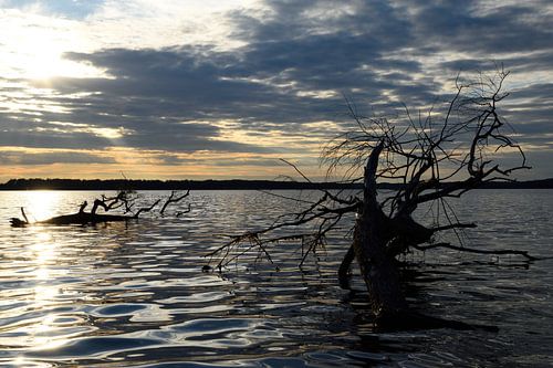Golven in zonsondergang van Marcel Ethner
