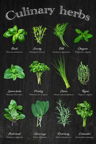 Herb variety - kitchen classics at a glance / English