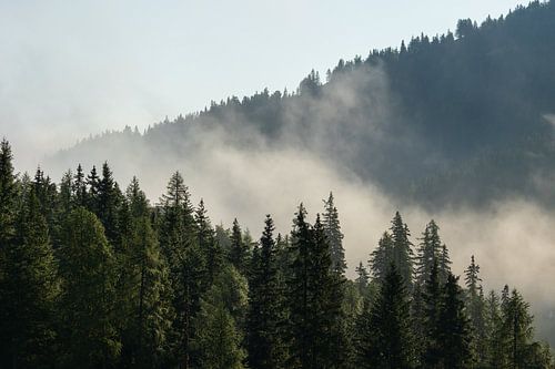 Bewolkt berglandschap