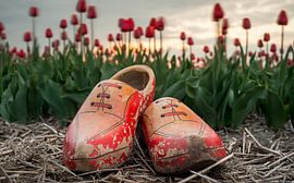 Klompen, tulpen en zonsondergang by Jenco van Zalk