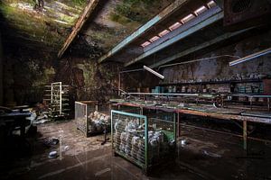 Usine de poterie abandonnée. sur Roman Robroek - Photos de bâtiments abandonnés