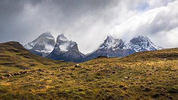 Torres del Paine von Gunter Nuyts