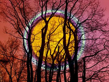 Volle maan in het bos van ART Eva Maria