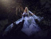 Magisches Licht im dunklen Wald - Fine Art Fantasy