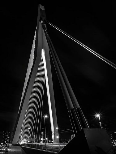Nachtfoto van de Erasmusbrug (De Zwaan) in Rotterdam