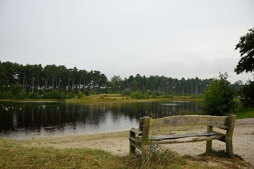 Klein meer in de duinen