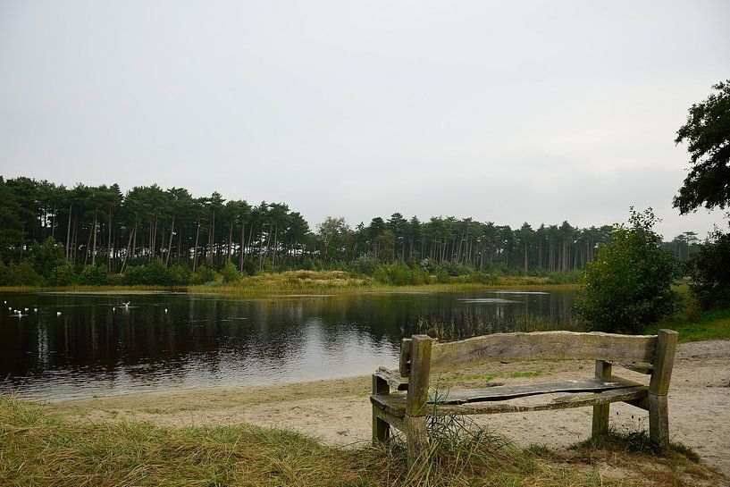 Kleiner See in den Dünen von Frank's Awesome Travels
