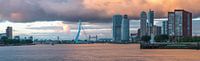 Panoramafoto van Rotterdam met de Erasmusbrug.