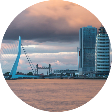 Panoramafoto van Rotterdam met de Erasmusbrug. van Leo Luijten