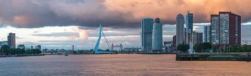 Panoramafoto van Rotterdam met de Erasmusbrug.