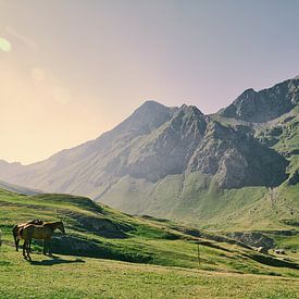 Verträumtes Land von Lumi Toma