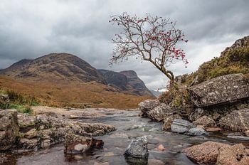 Rotsvast in de Hooglanden