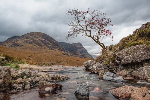 Rotsvast in de Hooglanden