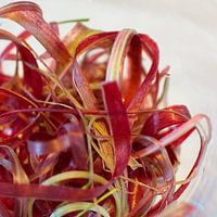 Rhubarb