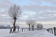 Winterimpression am Niederrhein, Bislicher Insel, Morgenstimmung. von wunderbare Erde Miniaturansicht