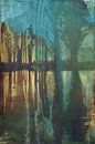 The Pond by Retrotimes thumbnail