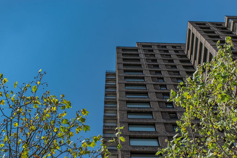 Kop van Zuid van Karin Bijl