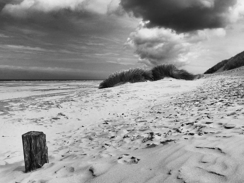 Strand en duinen van Terschelling van Jessica Berendsen