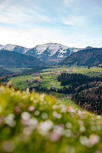 Lente-uitzicht op de Hochgrat en Steibis bij Oberstaufen