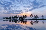 Dutch Landscape "Mirrored Sunset" by Coen Weesjes thumbnail