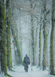 Gelé dans le temps sur Saskia Dingemans Awarded Photographer