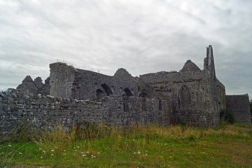Ruïnes van het voormalige Franciscaner klooster, Askeaton aan de rivier de Deel