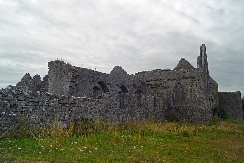Ruinen des ehemaligen Franziskanerklosters, Askeaton am Fluss Deel von Babetts Bildergalerie