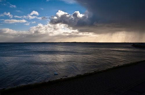 Dutch swan song in Volendam