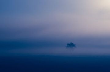 Lonely sur Karen Havenaar