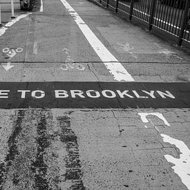 Welcome to Brooklyn by Nynke Altenburg