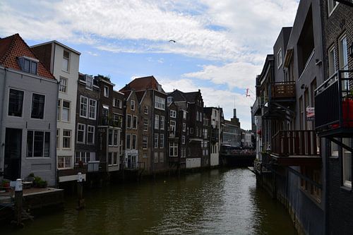 Dordrecht aan het water