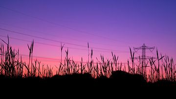 Roze/paarse zonsondergang bij korenveld en hoogspanningsmast van Noud de Greef