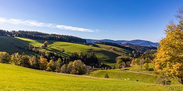 Panorama Landschaft bei St. Peter im Schwarzwald von Werner Dieterich