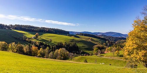 Panorama landscape near St. Peter in Black Forest