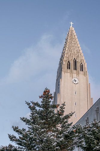 Hallgrímskirkja kerk Reykjavik IJsland