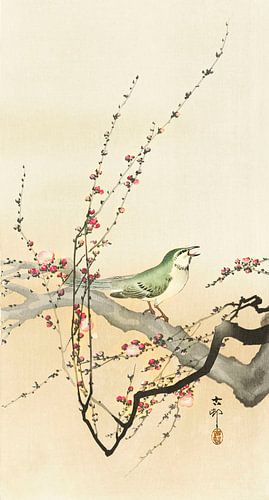 Songbird and plum blossom (1900 - 1936) by Ohara Koson by Studio POPPY