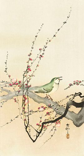 Songbird and plum blossom (1900 - 1936) by Ohara Koson