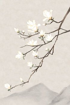 Magnolie