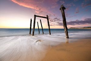 Plage des chats