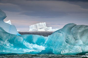 Les icebergs autour de la Géorgie du Sud sur Ron van der Stappen
