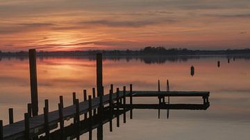 Belterwijde von Ragonda Mol