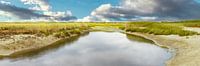 Waddeneiland Texel de Slufter en duin