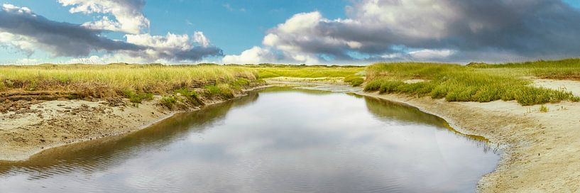 Waddeneiland Texel de Slufter en duin van eric van der eijk
