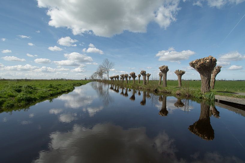 Pollarded willows by Hans Goudriaan