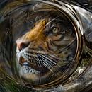 Space astro tiger van Rudi Lippi thumbnail