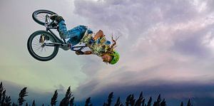 Flying high - salto met de fiets