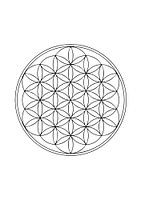 Flower of life 