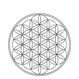 Flower of life  van Cindy van den Heuvel