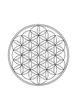 Flower of life  van Cindy van den Heuvel